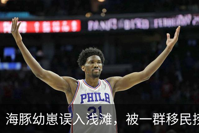 海豚幼崽误入浅滩，被一群移民捞起虐待！奄奄一息还被高举当战利品